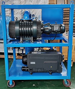 Vacuum Pump System